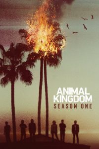 Nonton Animal Kingdom: Season 1