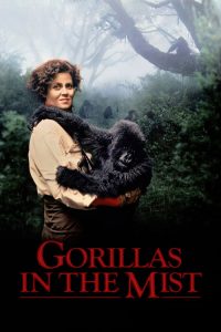 Nonton Gorillas in the Mist 1988