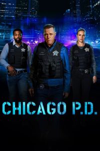 Nonton Chicago P.D.: Season 11